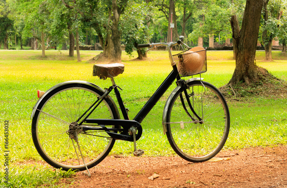 Vintage bicycle parked on green grass field.