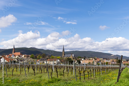 Blick auf Edenkoben, Südpfalz photo