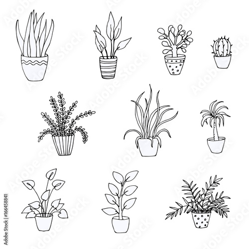 Set of doodles of houseplants, vector