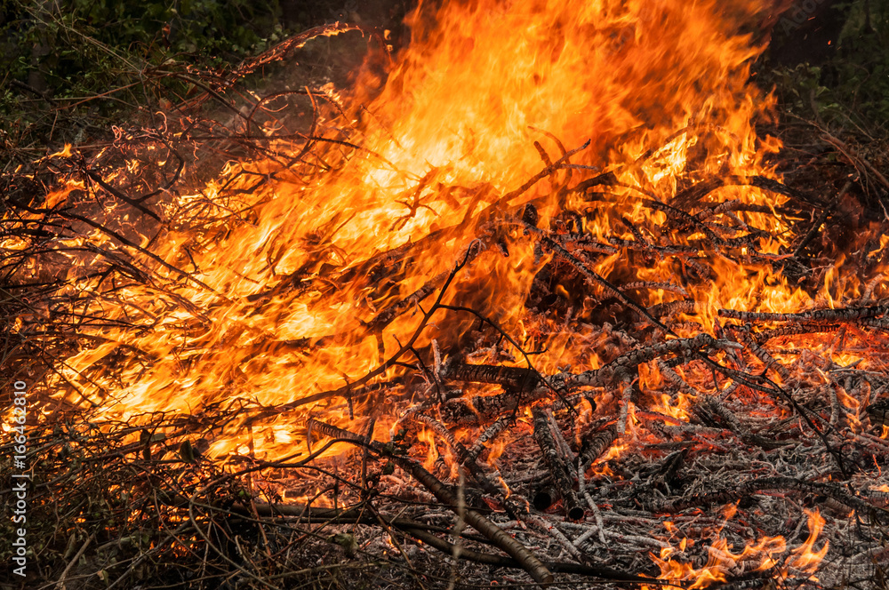 fallen tree is burned to the ground a lot of smoke when vildfire