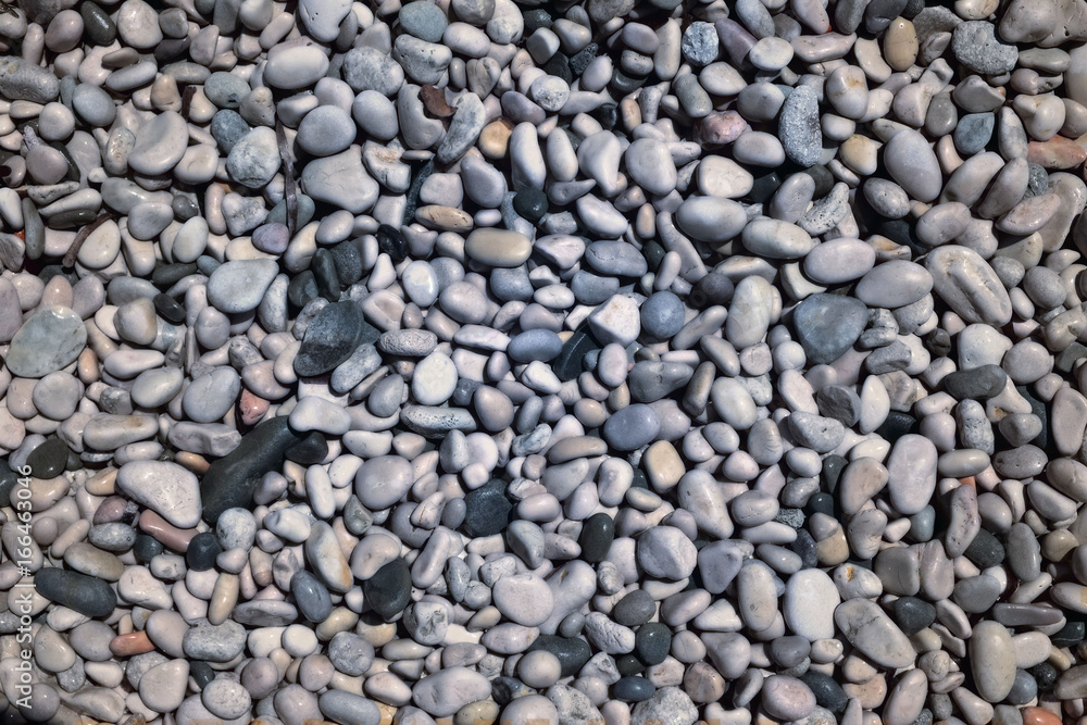 pebble texture on sea shore - pattern, cold tones, close up pebble texture on sea shore - pattern, cold tones, close up