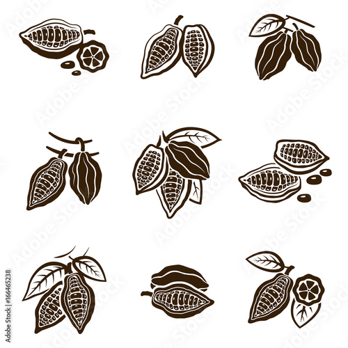 Cocoa Beans set