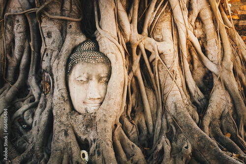 Buddha Head in bodhi root Wat Maha That. Ayutthaya historical park, travel in Thailand