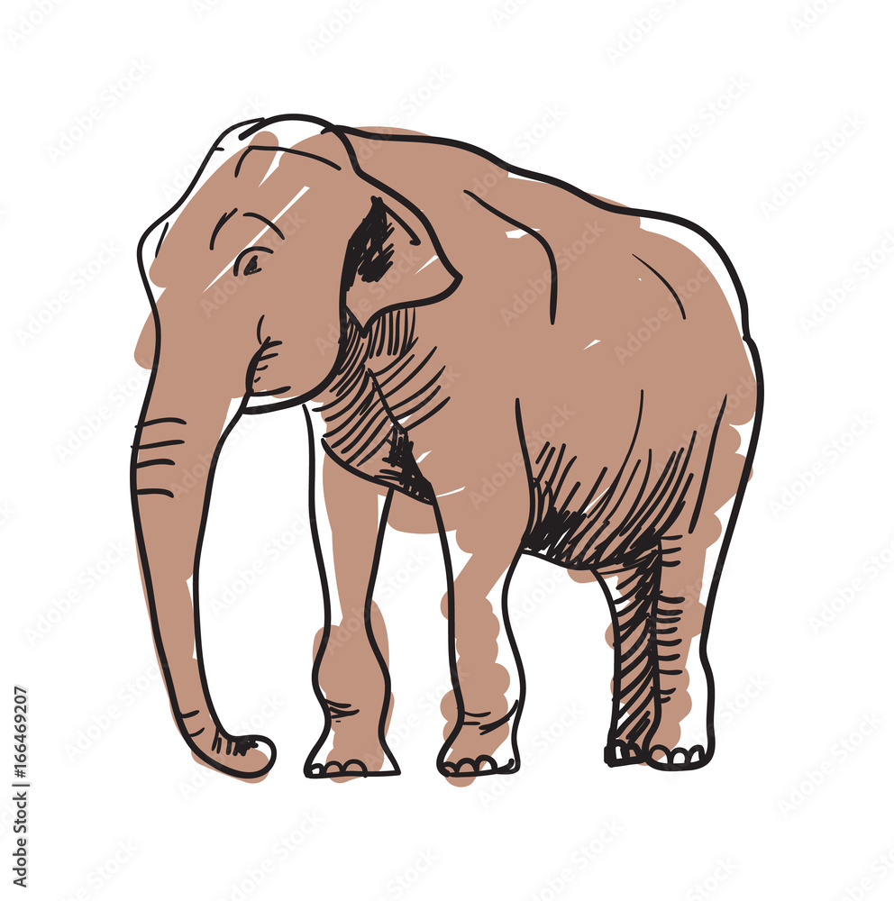 Indian elephant hand drawn icon isolated on white background vector illustration. Indian ethnic culture element.