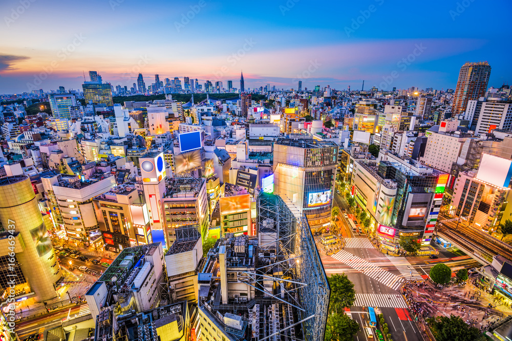 Fototapeta premium Shibuya, Tokyo, Japan Cityscape