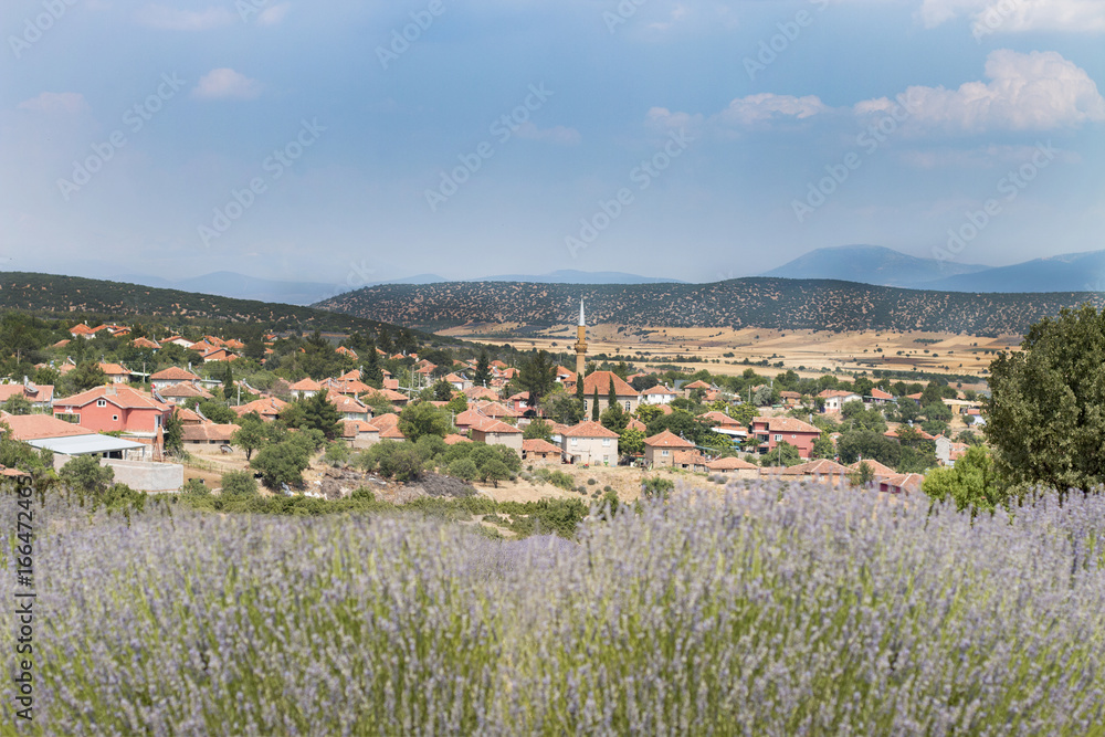 Landscape View of Lavender Village in Isparta Turkey
