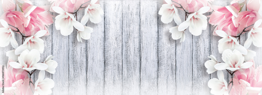 Fototapeta premium Magnolia flowers on shabby background