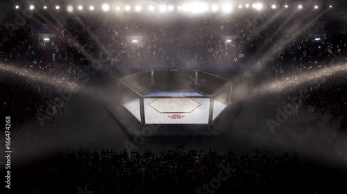Empty mma arena side view under lights. complete tribune. 3D rendering