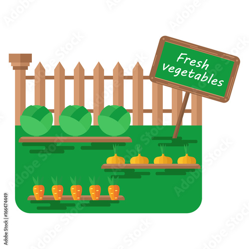 green bed with vegetables