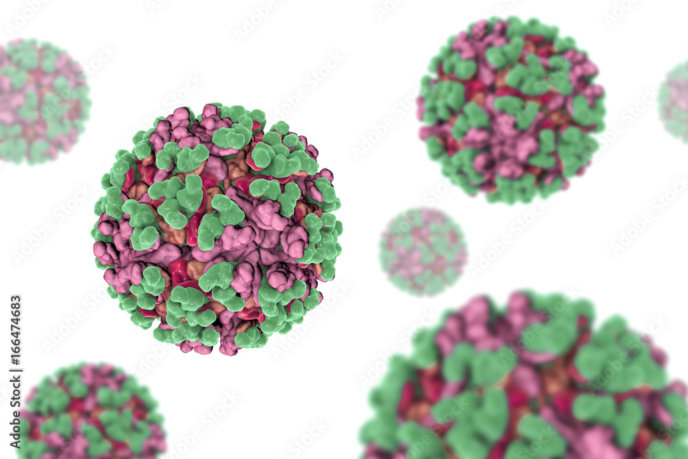 Venezuelan equine encephalitis virus, 3D illustration. An RNA