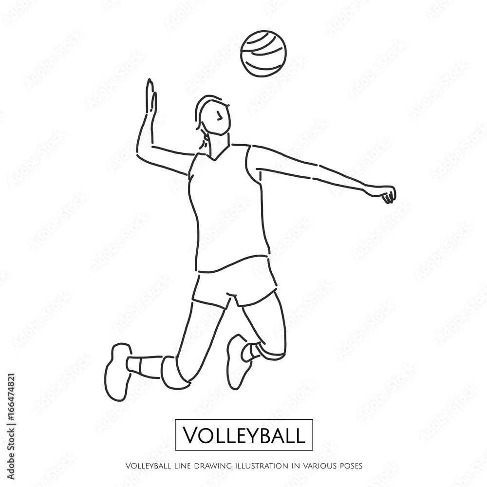 Volleyball line drawing illustration in various poses, line drawing