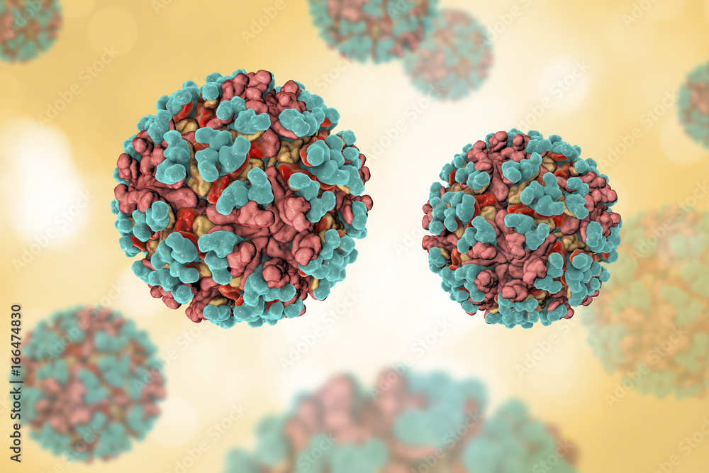 Venezuelan Equine Encephalitis Virus, 3d Illustration. An Rna 