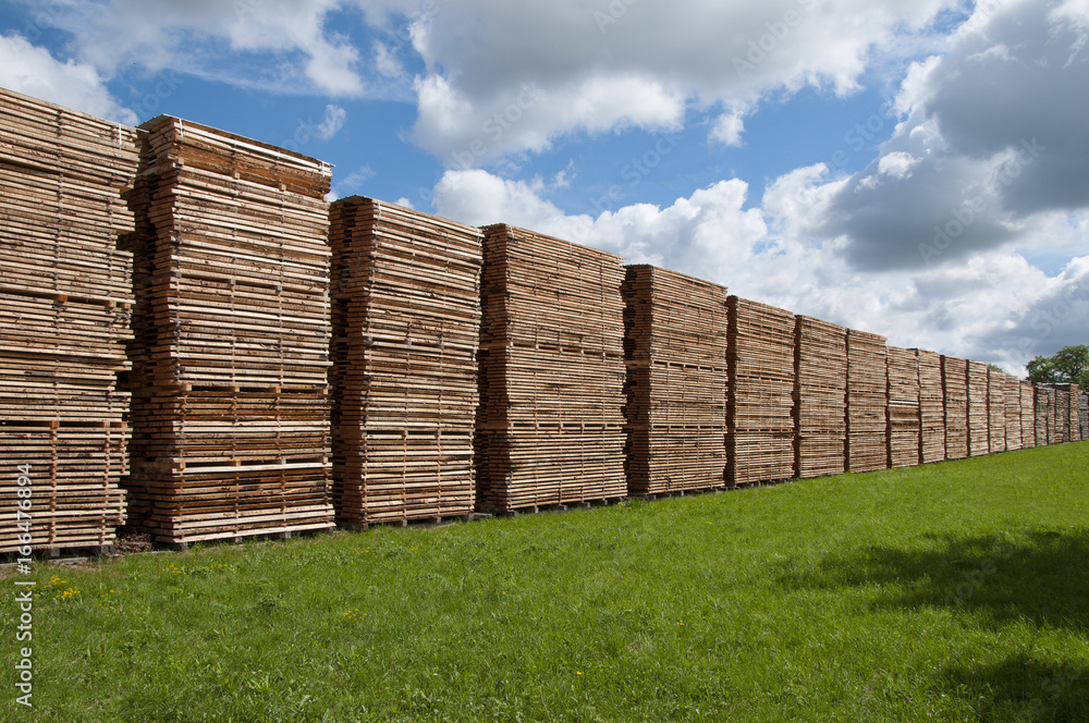 Lumber yard, wooden boards Lumber yard, wooden boards