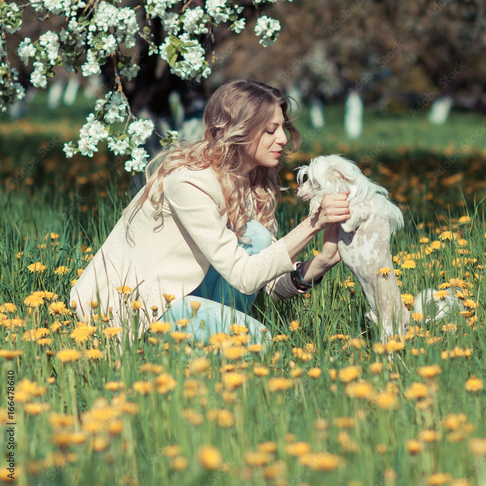 Woman with little dog. Girl having fun with her pet among dandelions in a blooming garden Woman with little dog. Girl having fun with her pet among dandelions in a blooming garden