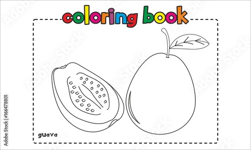 Guava Coloring Book