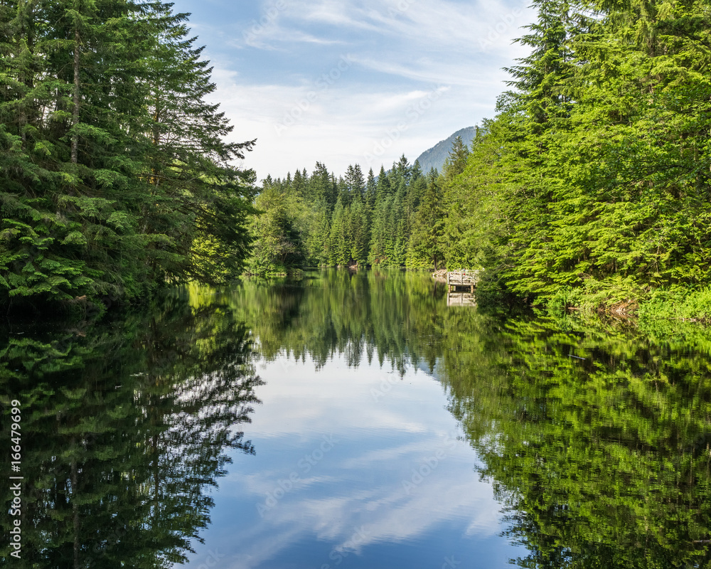 The forest and cloudy sky reflected in the lake