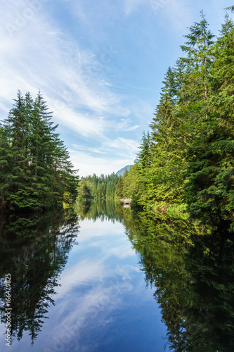 The forest and cloudy sky reflected in the lake