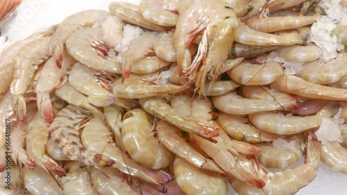 shrimps © stdemiriz