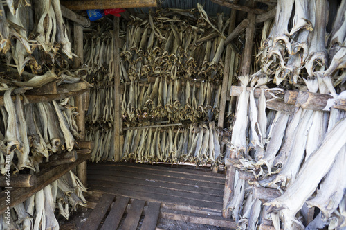 FIsh hanging in shed to dry