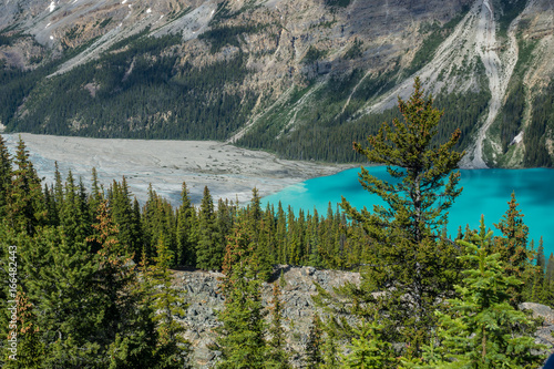 T  rkisfarbener Peyto Lake  Banff Nationalpark  Alberta  Canada
