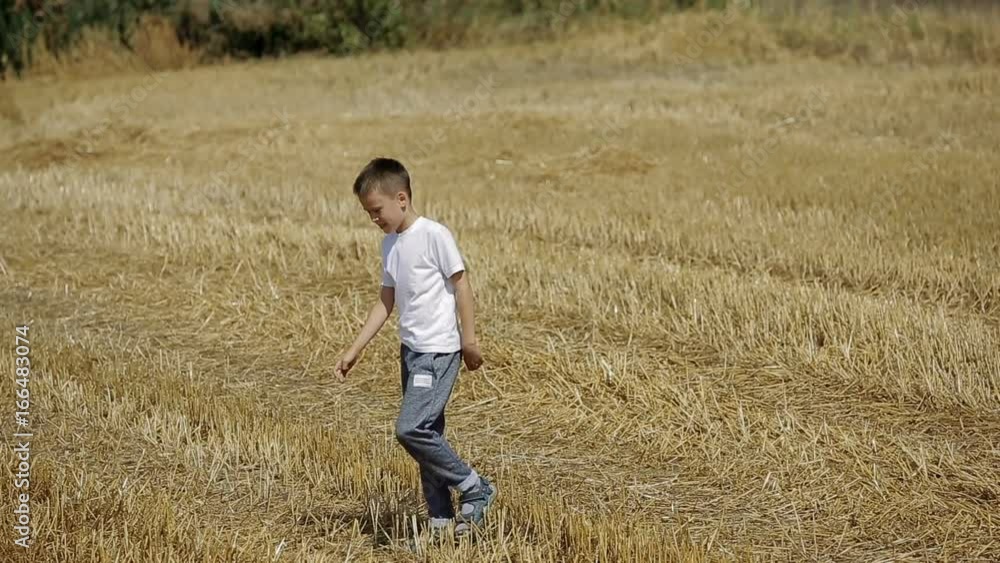 Little Boy In Field Little Boy In Field
