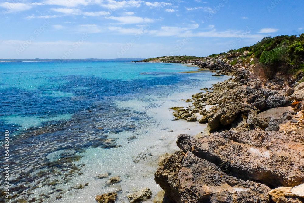 Kangaroo island paradise