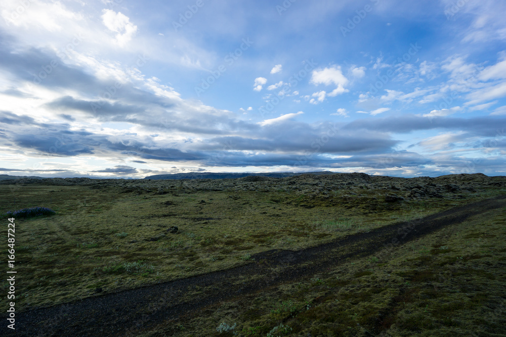Fototapeta premium Iceland - Green moss covered lava field at dawn