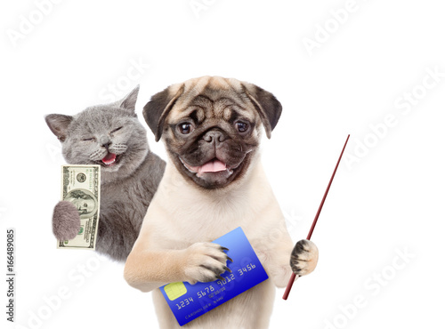 Happy Cat with dollar and Funny puppy hold credit card and pointing stick. isolated on white background © Ermolaev Alexandr