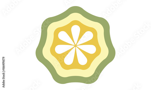 Garcinia Cambogia vector stylized