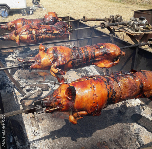 cochon tourne broche méchui