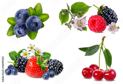 Berries collection isolated on white