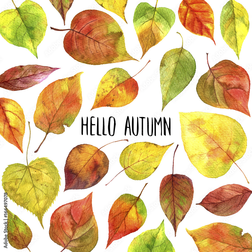 Obraz premium background with autumn leaves