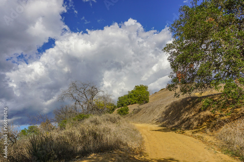 Drought Takes Its Toll on Topanga State Park photo