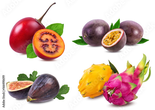 Collection of exotic fruits isolated