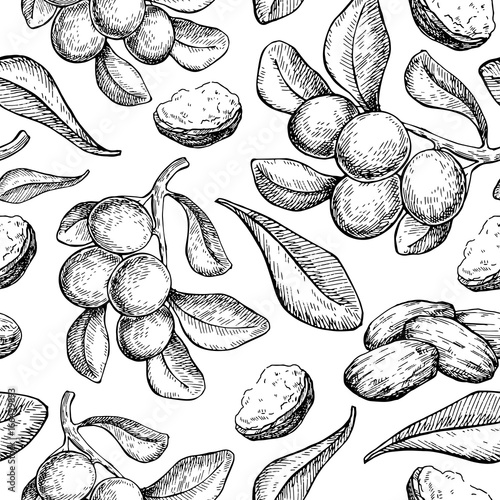 Shea butter vector seamless pattern drawing. Isolated vintage background with berry, nuts, branch.