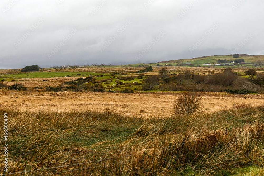 Irish landscape in winter