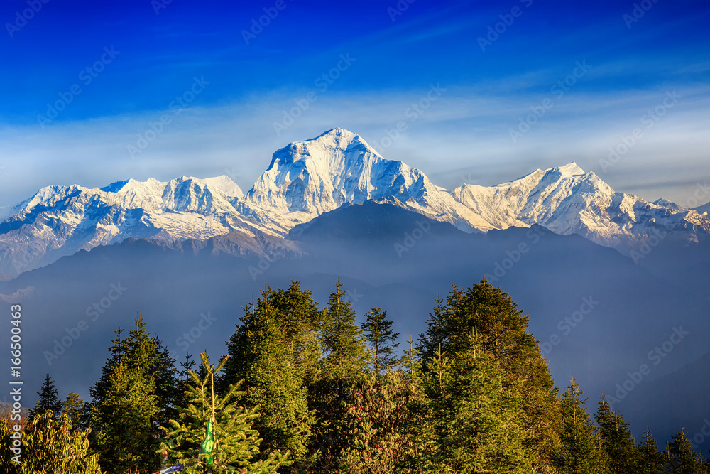 Obraz premium Sunrise view from Poon hill