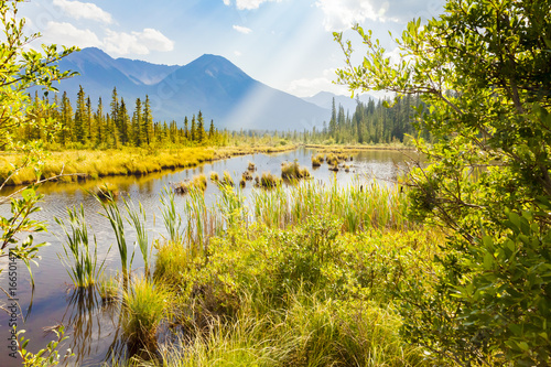 Landscape around Banff  Alberta West Canada photo