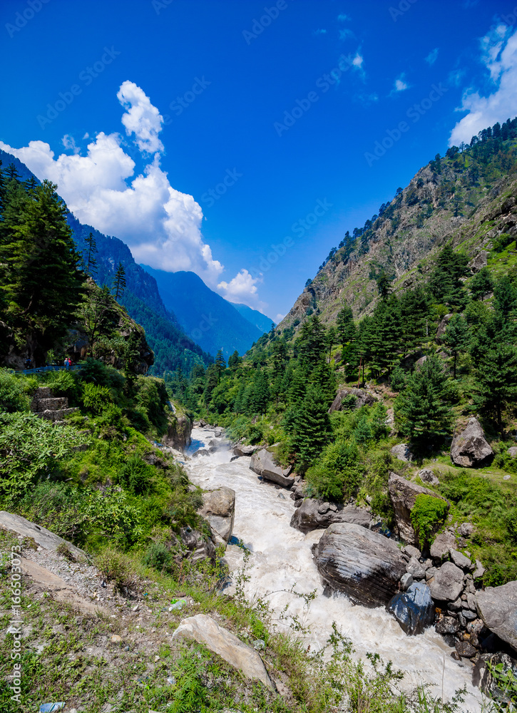 Parvati river flowing through the woods of Barshaini Village, Kullu, Himachal Pradesh.