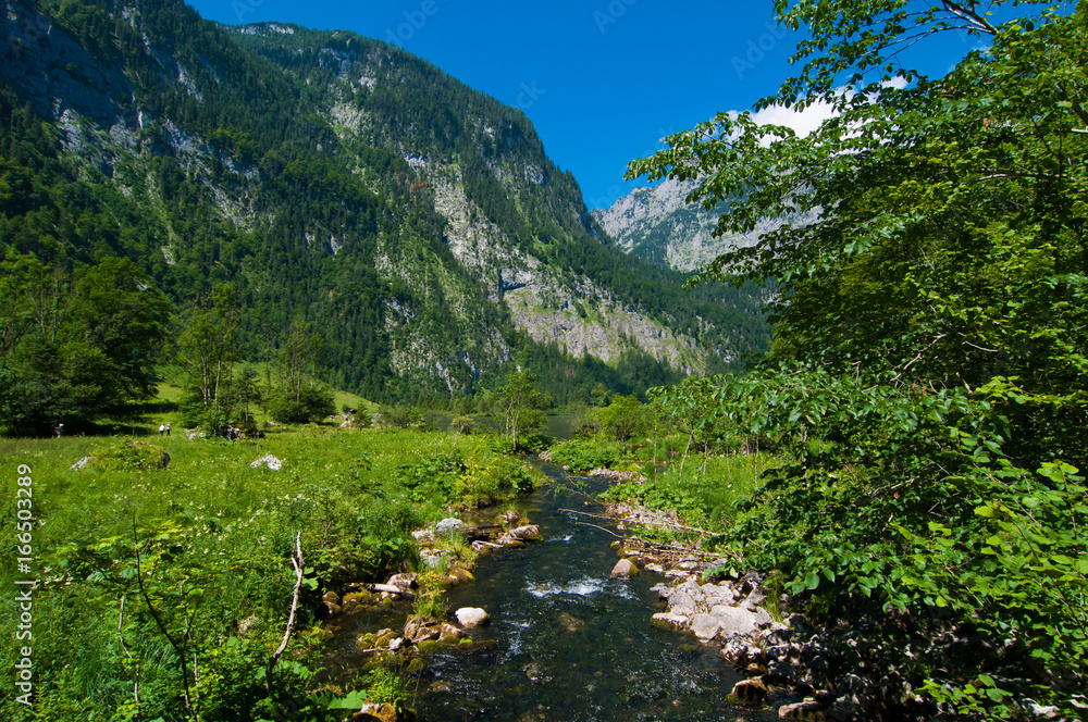Fototapeta premium Bachlauf durch die Wildnis am Königssee