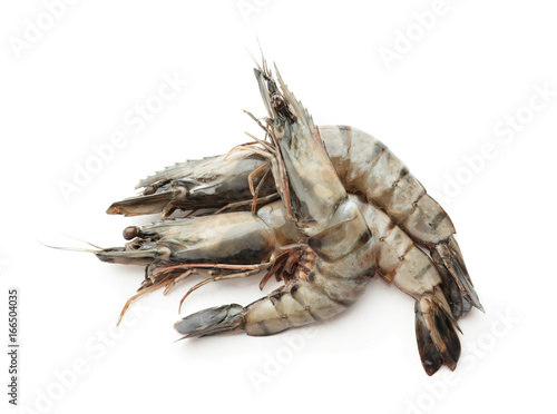 Fresh shrimps on white background