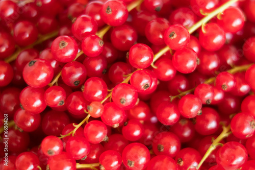 pile of red currant  berries - fruit background
