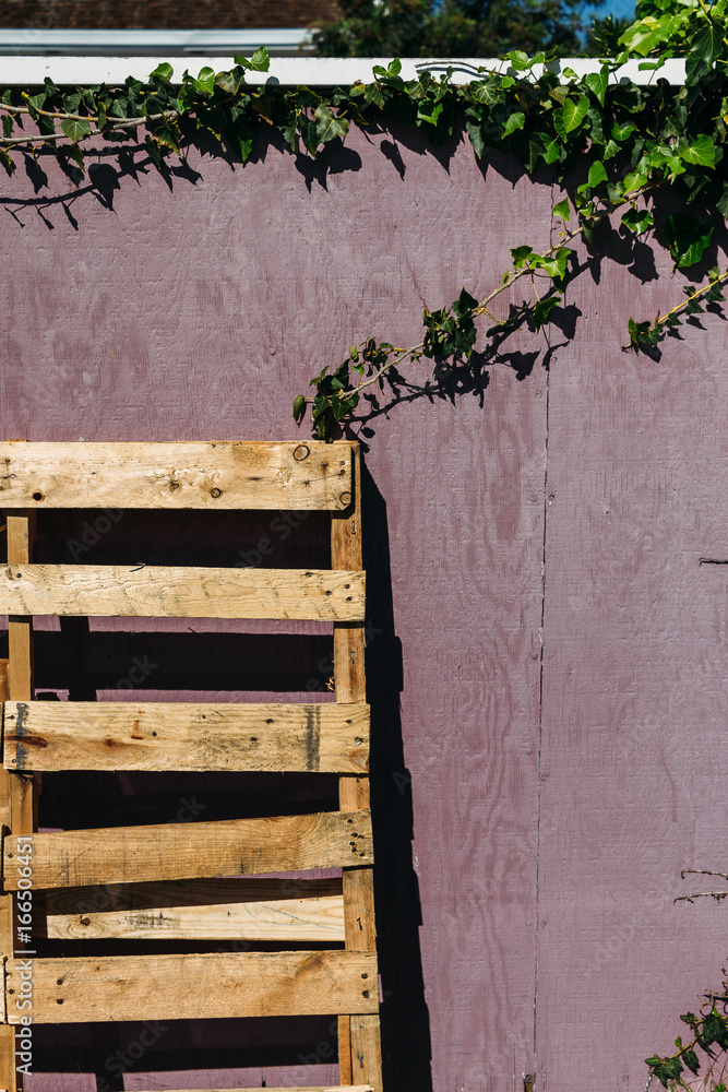 wood pallet against purple wall wood pallet against purple wall