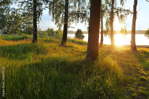 Enchanting play of sun on the lake. Lake Baltym, Sverdlovsk oblast, Russia. photo