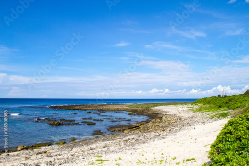 Coast landscape