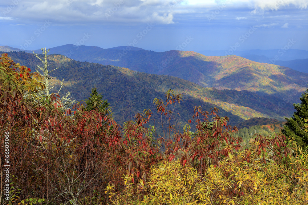 Scene from Great Smoky Mountains National Park, Tennessee Scene from Great Smoky Mountains National Park, Tennessee