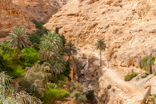 Wadi Qelt in Judean desert around St. George Orthodox Monastery photo