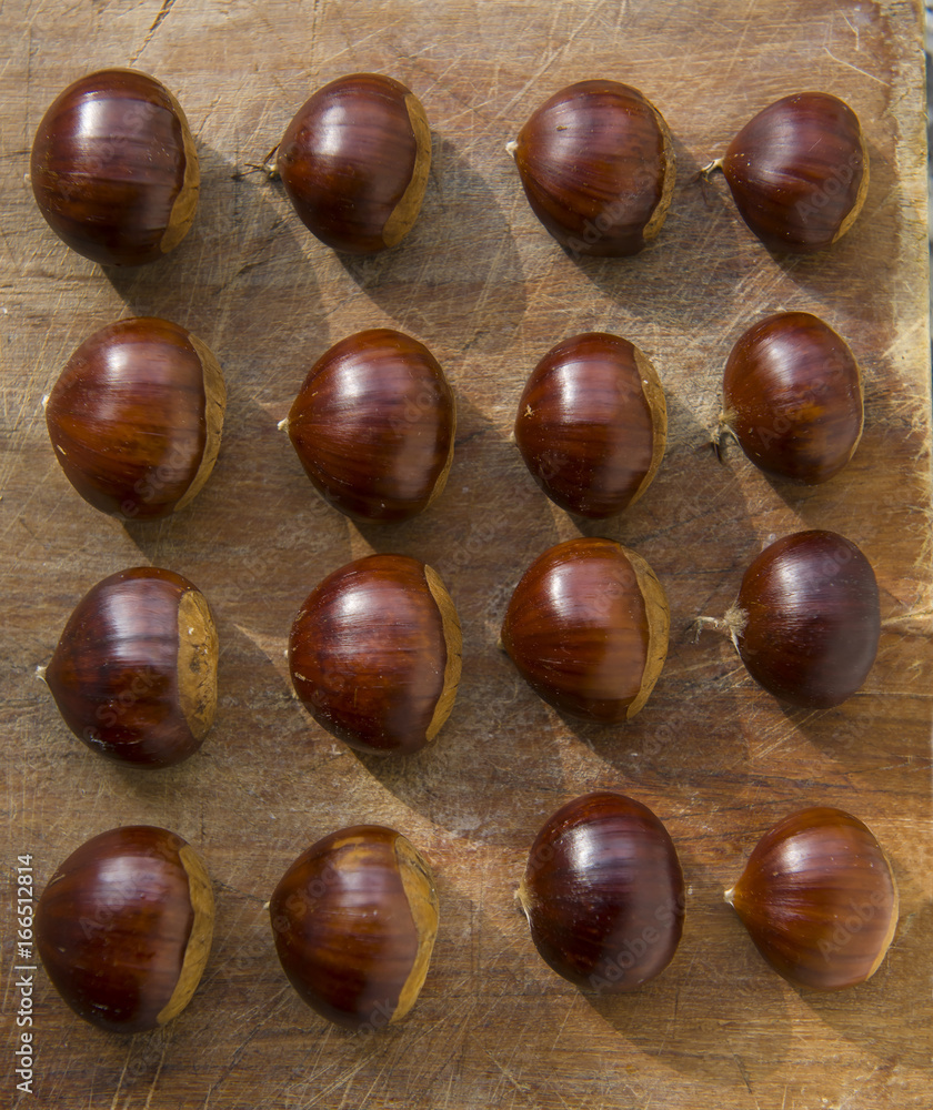 Obraz premium Chestnuts just picked up.