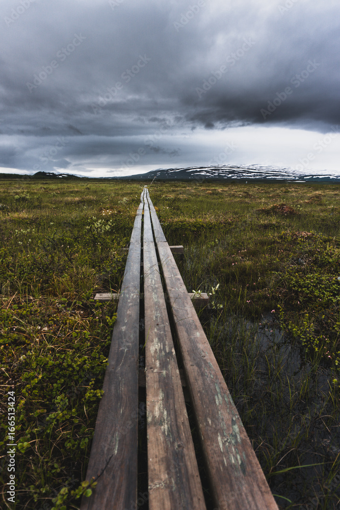 Fototapeta premium trekking path