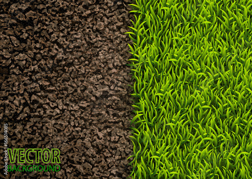 Image of soil and green grass texture. Natural texture. Overhead view. Vector illustration nature background.